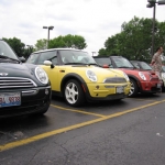 Bessie with some old and new friends!