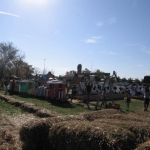 The Apple Holler playground