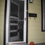 A tiny pumpkin finds its new home.