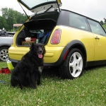 British Car Field Day 2011