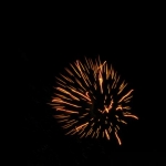 IMG_0461.jpg