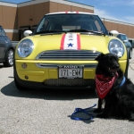 Fourth of July Parade '08