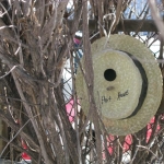 The Hat House. A ceramic bird house found amoungst the trees.