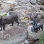 Bears by the River.