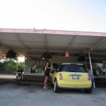 Bessie being served by a waitress.