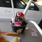 An Animal Circus - two frosted animal crackers, jimmeys, fudge, and a cherry on top - Delicious!