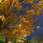 Autumn in Wisconsin