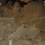 I suggest checking out their website for the interesting story behind the Mammoth Site.