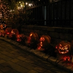 Ann's is decorated for the season.