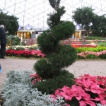 In case you're still confused, the Domes are giant greenhouses full of plants. For Christmas, the one dome was covered in pointsettias and Christmas paraphenalia. 
