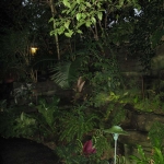 Our final dome was the tropics. It was quite nice after being in all the cold outdoors.