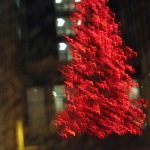 Zipping past the lights on our way to our next adventure.