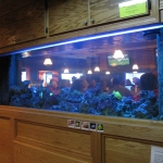 Fish Tank!