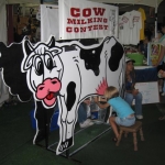 Cow milking, without the danger.