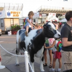 Nobody tips cows in Wisconsin, nor do they really ride them.