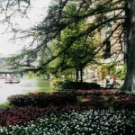 Flowers on the River walk, San Antonio, Texas 