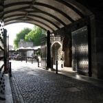 IMG_3736.jpg