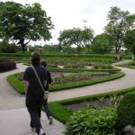 The rose garden The rose garden