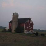 The happy barn The happy barn
