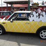 DSCN8255