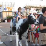 Nobody tips cows in Wisconsin, nor do they really ride them. Nobody tips cows in Wisconsin, nor do they really ride them.