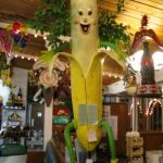 A Crazy Banana A Crazy Banana