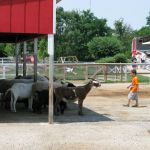 IMG_1295