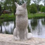 A fox A fox