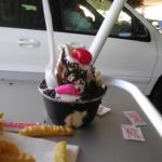 An Animal Circus - two frosted animal crackers, jimmeys, fudge, and a cherry on top - Delicious! An Animal Circus - two frosted animal crackers, jimmeys, fudge, and a cherry on top - Delicious!