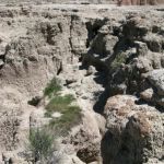 IMG_5080