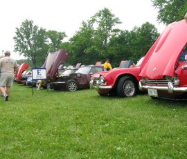 IMG_8222