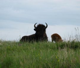 IMG_5038