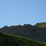 IMG_5147