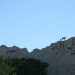 IMG_5157