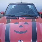 The perfect color for festive decoration.