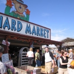 Picking out pumpkins at the Orchard Market.