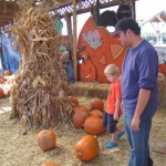 So many to choose from.