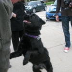 IMG_0059
