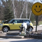 Oddities of Wisconsin. A parking lot adorned with pigs.