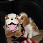 Puppy Love!