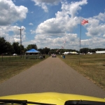Bessie follows the T-bird home.