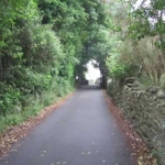 A perfect example of Isle of Man roads - very narrow and lined with stone fences