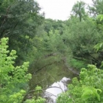 A view from a suspension bridge