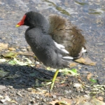 IMG_3565.jpg