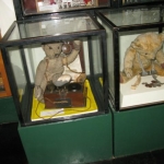 IMG_3873.jpg