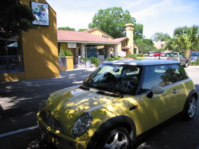 Bessie enjoys the shade at Teo's after a day of soaking up the hot sun.