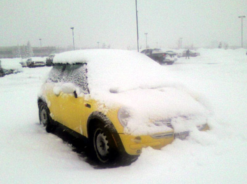 Bessie the Snowbound