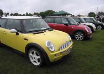 Bessie and many MINI friends!