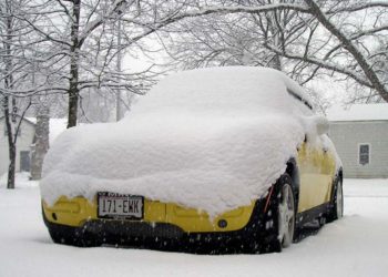 Bessie is outfitted with Snow Stripes by Mother Nature.