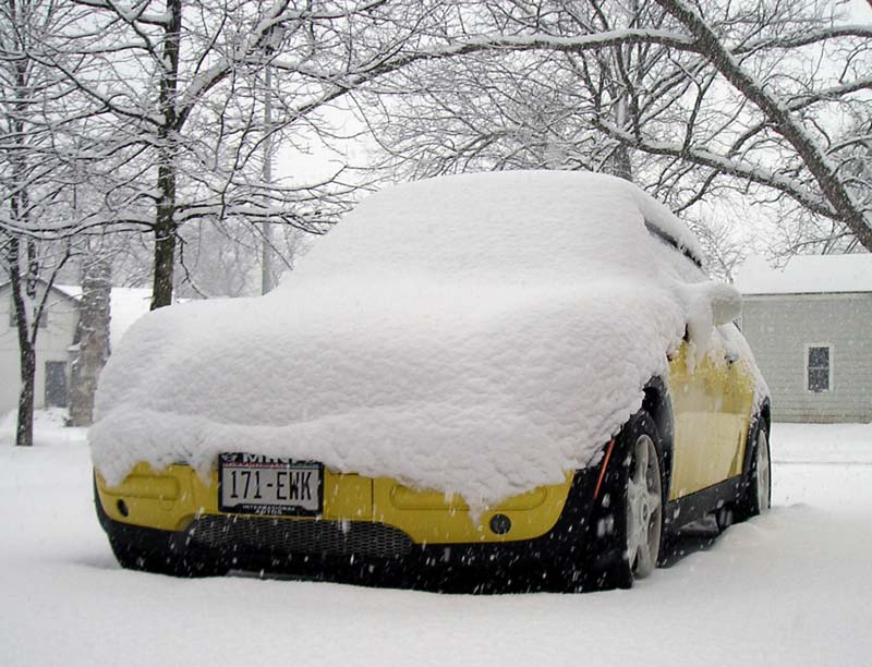 Bessie is outfitted with Snow Stripes by Mother Nature.